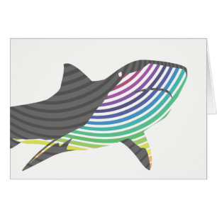 Colour Shark Swirl