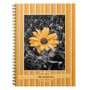 Colour Splash Spring Flash African Daisy Notebook