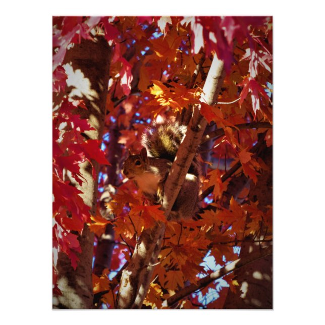 "Colour-Splashed Critter" Photo Print (Front)