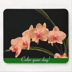 Colour your day! mouse pad