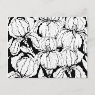 Colour Your Own Iris Flowers Postcard