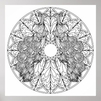 Colour Your Own Peacocks Mandala Colouring Poster