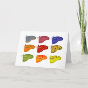 Coloured Butterfly Notecard