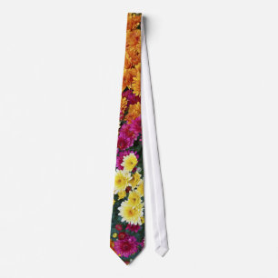 Coloured Chrysanthemum X Morifolium Flowers Tie