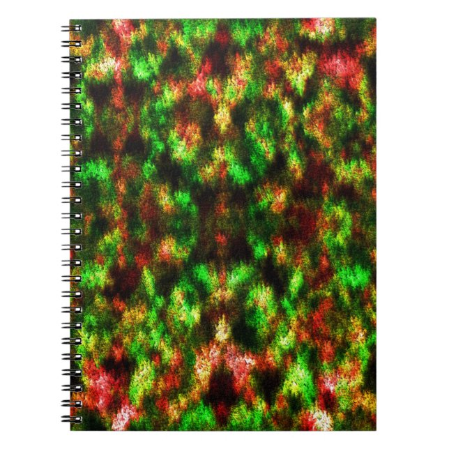 Coloured green, yellow to red with feathers. notebook (Front)