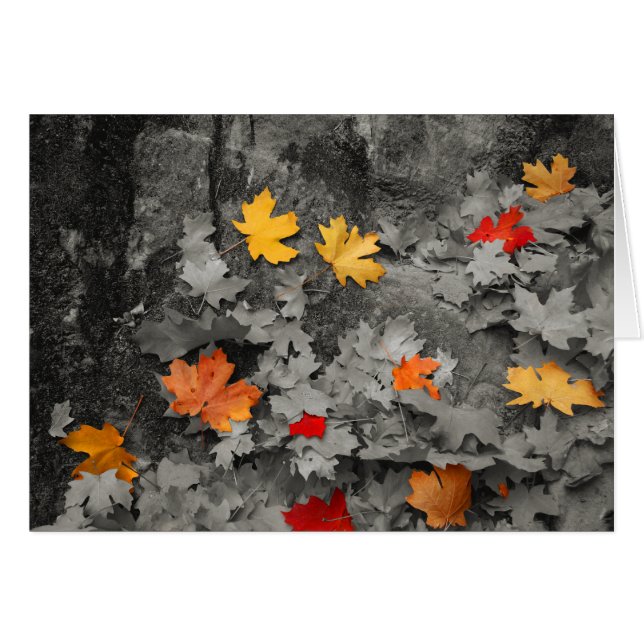 Coloured Leaves in Black and White Card (Front Horizontal)