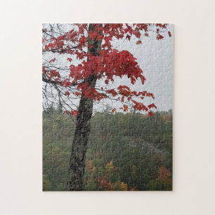 Coloured Leaves It's Autumn Jigsaw Puzzle