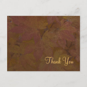 Coloured Maple Leaves Thank You Postcard