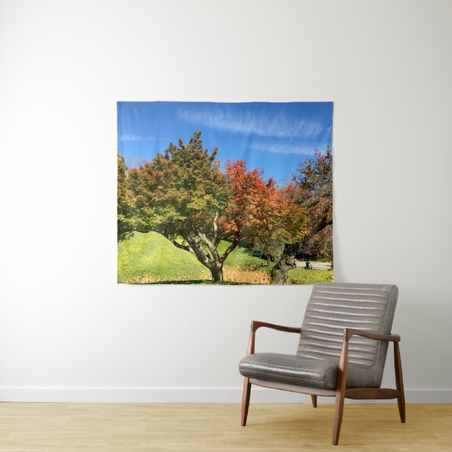 Coloured Maple Tree in Autumn Tapestry (In Situ (Horizontal))