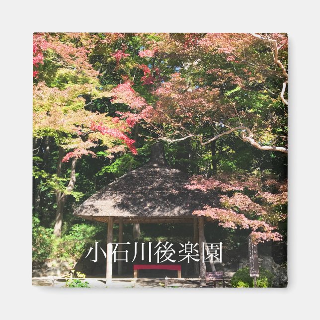 Coloured Maple Trees and Rest House Magnet (Front)