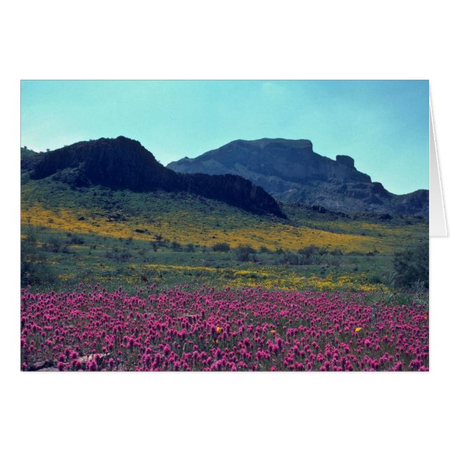 Coloured Slopes (Front Horizontal)