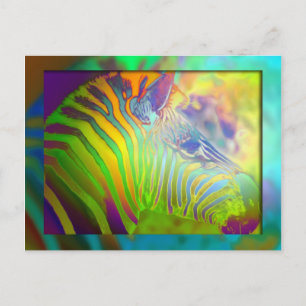 coloured zebra postcard