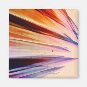 Colourful abstract objects against white magnet