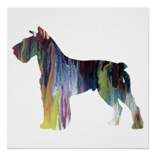 Colourful abstract Schnauzer silhouette Poster