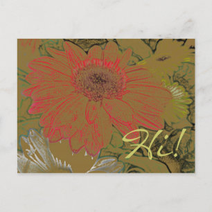 Colourful African Daisies Hi! Postcard