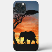 Colourful African Safari Sunset Elephant Silhouett