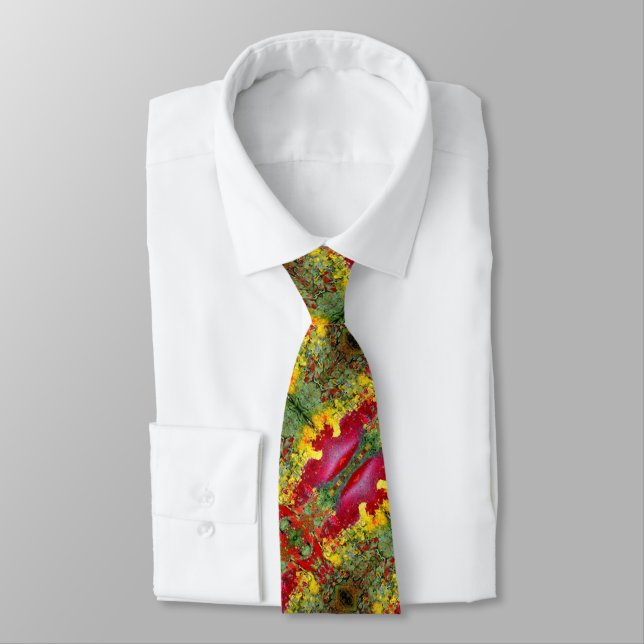 Colourful Aged Paint Tie (Tied)