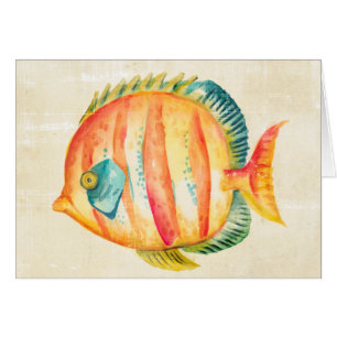 Colourful Aquarium Fish