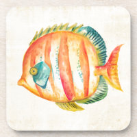 Colourful Aquarium Fish