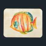 Colourful Aquarium Fish Magnet<br><div class="desc">Colourful Aquarium Fish  Artist: Chariklia Zarris</div>