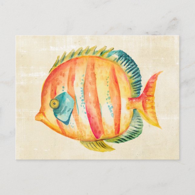 Colourful Aquarium Fish Postcard (Front)