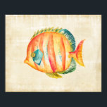Colourful Aquarium Fish Poster<br><div class="desc">Colourful Aquarium Fish  Artist: Chariklia Zarris</div>