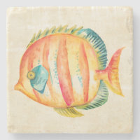 Colourful Aquarium Fish