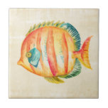 Colourful Aquarium Fish Tile<br><div class="desc">Colourful Aquarium Fish Artist: Chariklia Zarris</div>