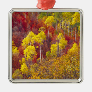 Colourful aspens in Logan Canyon Utah in the 2 Metal Tree Decoration