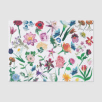 Colourful Assorted Spring Flowers White Background