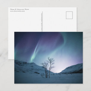 Colourful Aurora Postcard