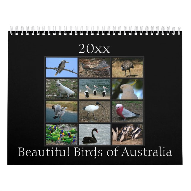Colourful Australian Birds Calendar (Cover)