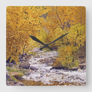 Colourful Autumn Aspen Trees Square Wall Clock