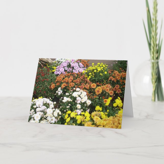 Colourful Autumn Flowers Holiday Card (Front)