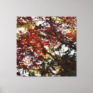 Colourful Autumn Leaves Abstract Background Canvas Print