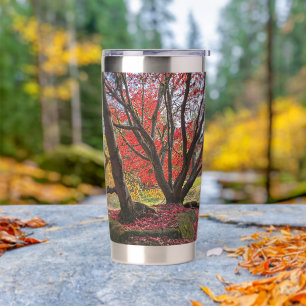 Colourful Autumn Leaves and Trees Landscape Insulated Tumbler