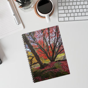 Colourful Autumn Leaves and Trees Landscape Notebook