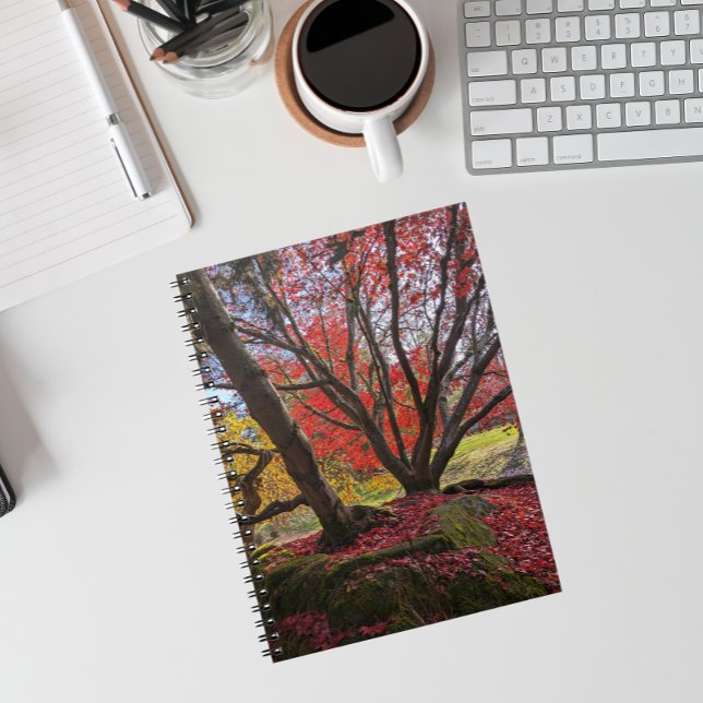 Colourful Autumn Leaves and Trees Landscape Notebook (In Situ)