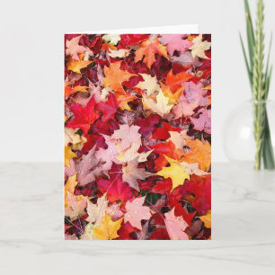 Colourful Autumn Leaves Card