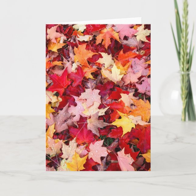 Colourful Autumn Leaves Card (Front)