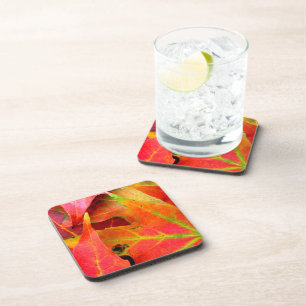 Colourful Autumn Leaves Close-up Coaster