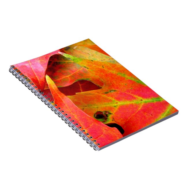 Colourful Autumn Leaves Close-up Notebook (Right Side)