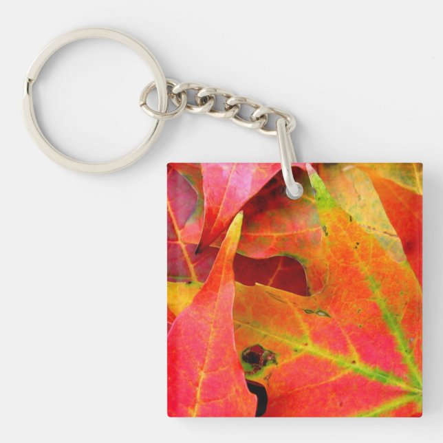 Colourful Autumn Leaves CloseUp Key Ring (Front)
