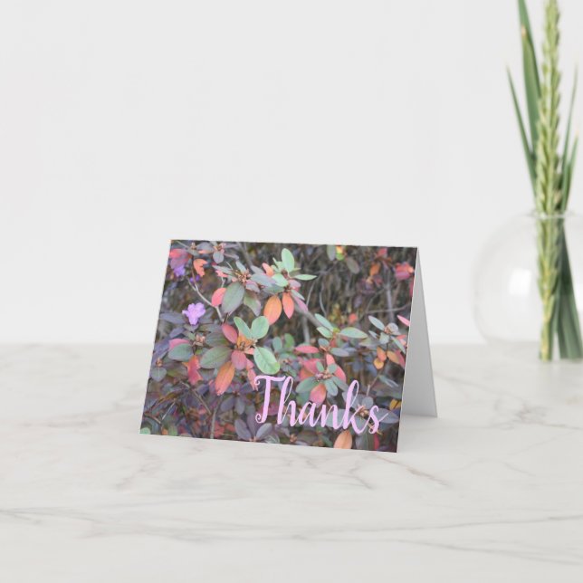 Colourful Autumn Leaves Fall Foliage Nature Thanks Thank You Card (Front)