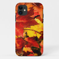 Colourful Autumn Leaves, gold red orange maple lea