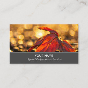 Colourful autumn leaves in golden sunset business card