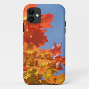 Colourful Autumn Leaves iPhone cases Blue Skies
