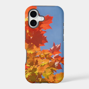 Colourful Autumn Leaves iPhone cases Blue Skies