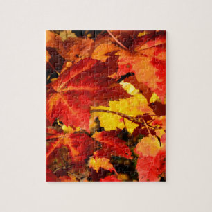 Colourful Autumn Leaves Jigsaw Puzzle