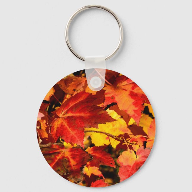 Colourful Autumn Leaves Key Ring (Front)